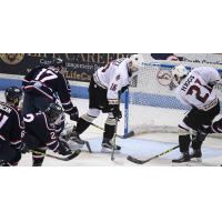 Atlanta Gladiators vs. the South Carolina Stingrays