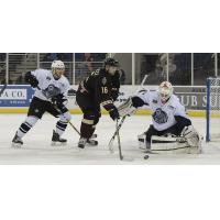 Atlanta Gladiators Close in on the Evansville IceMen Net