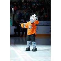 San Jose Barracuda Mascot Frenzy