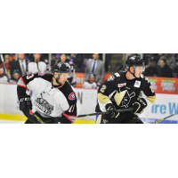 Bramton Beast vs. the Wheeling Nailers