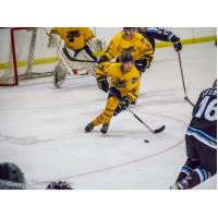 Springfield Jr. Blues vs. the Kenai River Brown Bears