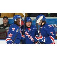 Kitchener Rangers Celebrate a Goal