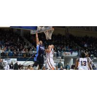 Halifax Hurricanes Go up for the Ball