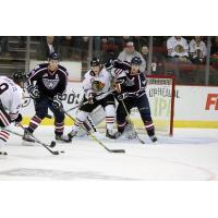 Tri-City Americans Battle the Portland Winterhawks