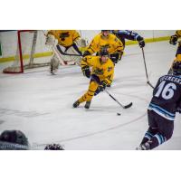 Springfield Jr. Blues Take the Puck up the Ice