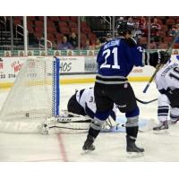 Logan Nelson of the Wichita Thunder Celebrates a Goal in Front of the Evansville IceMen