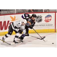 Manchester Monarchs vs. the Orlando Solar Bears
