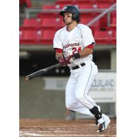 Sioux City Explorers Infielder Ryan Court at the Plate