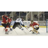 Atlanta Gladiators Try to Hold off the Idaho Steelheads