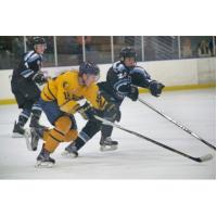 Springfield Jr. Blues Fall Battle the Coulee Region Chill
