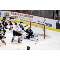 Ontario Reign Goaltender Peter Budaj Stops the San Diego Gulls