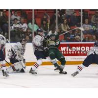 Tri-City Americans Tussle with the Everett Silvertips