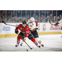 Chicago Wolves C Jeremy Welsh Hassles the Rockford IceHogs