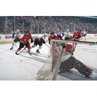 Chicago Wolves Close in on the Rockford IceHogs Goal