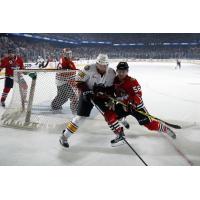 Jeremy Welsh of the Chicago Wolves Battles the Rockford IceHogs
