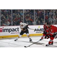 Chicago Wolves C Pat Cannone Takes a Shot vs. the Rockford IceHogs