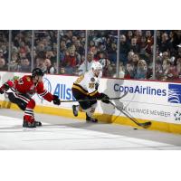 Chicago Wolves RW Danny Kristo Controls the Puck vs. the Rockford IceHogs