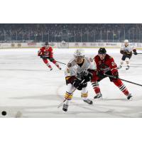 Chicago Wolves RW Ty Rattie Chases Down the Puck vs. the Rockford IceHogs
