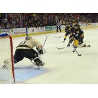 Mississippi RiverKings Forward Todd Hosmer Shoots at Knoxville Ice Bears Goaltender Brian Billett