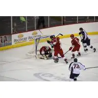 Allen Americans Goaltender Peter Di Salvo Defends vs. the Tulsa Oilers