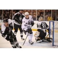 Manchester Monarchs vs. the Reading Royals