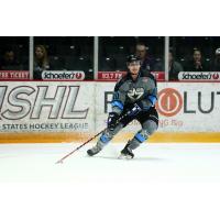 Forward Carson Gicewicz with the Lincoln Stars