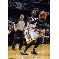 London Lightning Guard Warren Ward