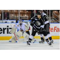 Manchester Monarchs Forward Zac Larraza vs. the Adirondack Thunder