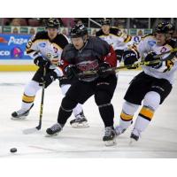 Wichita Thunder Chase the Puck vs. the Colorado Eagles