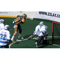 Georgia Swarm Forward Randy Staats Shoots against the Rochester Knighthawks