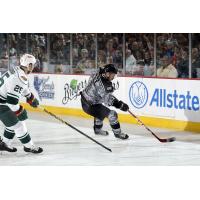 Chicago Wolves RW Ty Rattie Controls the Puck vs. the Iowa Wild