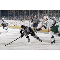 Chicago Wolves RW Zach O'Brien Reaches for the Puck vs. the Iowa Wild
