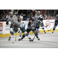 Chicago Wolves RW Danny Kristo Chases the Puck vs. the Iowa Wild