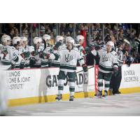 Iowa Wild Celebrate a Goal vs. the Chicago Wolves