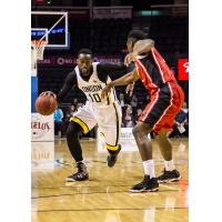 London Lightning Guard Warren Ward	Drives vs. the Windsor Express