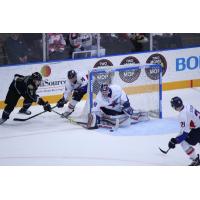 Kalamazoo Wings Goaltender Joel Martin stops the Toledo Walleye