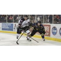 Atlanta Gladiators vs. the Brampton Beast