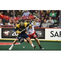 Chad Tutton of the Georgia Swarm Fights for a Loose Ball vs. the Calgary Roughnecks