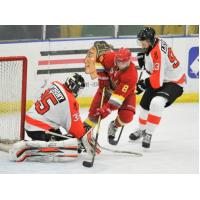 Danville Dashers Try to Stop the Dayton Demolition
