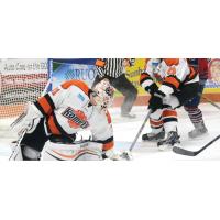 Fort Wayne Komets Goaltender Pat Nagle