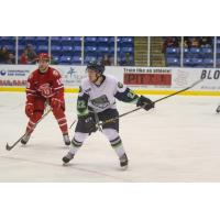 Bloomington Thunder Forward Logan Lambdin