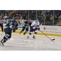 Florida Everblades Skate against the Orlando Solar Bears