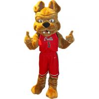 Orangeville A's Mascot Gus