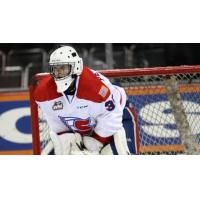 Spokane Chiegs Goaltender Lasse Petersen Between the Pipes