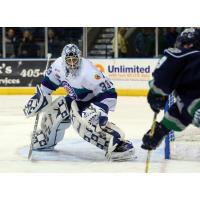 Orlando Solar Bears Goaltender Garret Sparks