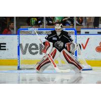 Manchester Monarchs Goaltender Doug Carr