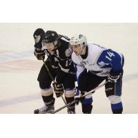 Saint John Sea Dogs Square off with the Charlottetown Islanders