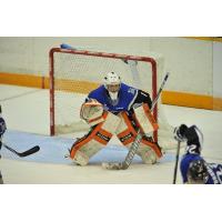 Saint John Sea Dogs Defend their Goal