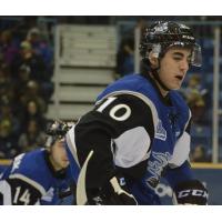 Nathan Noel of the Saint John Sea Dogs