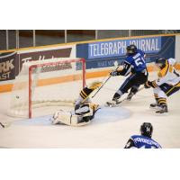 Saint John Sea Dogs Left Wing Bokondji Imama Scores a Goal